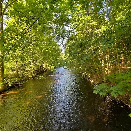 Pangea Bad Lauterberg im Harz