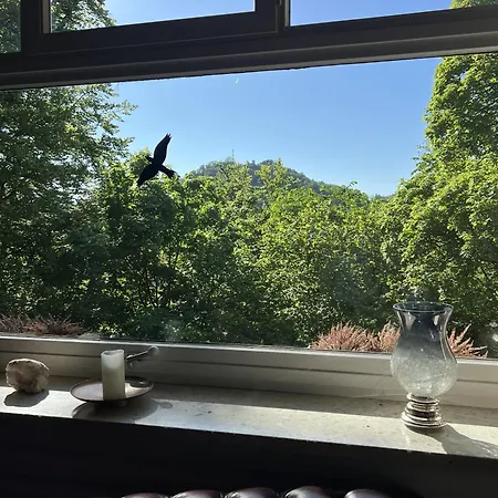 Pangea فندق مبيت وإفطار باد لوتربرغ